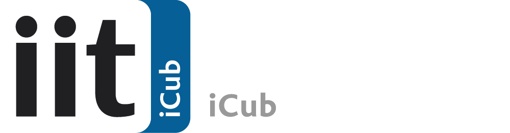 Italian Institute of Technology (IIT) logo